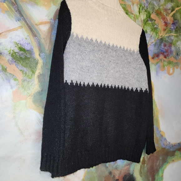 Bass Colorblocked Soft Turtleneck Sweater - Picture 4 of 4